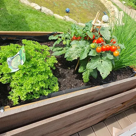 Weismark Lejlighed *