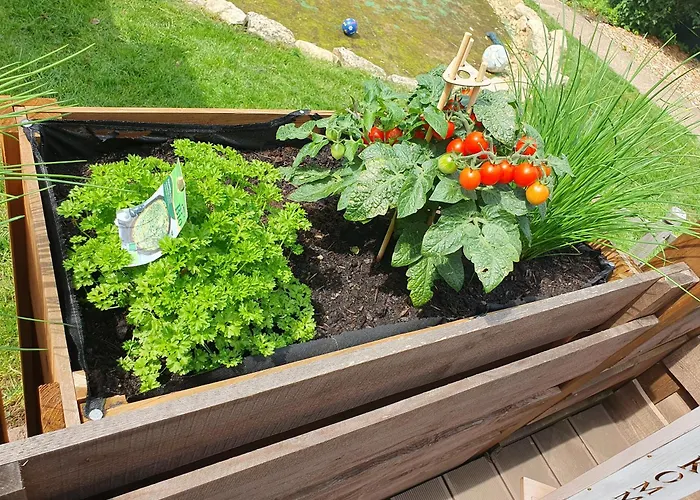 Weismark Lejlighed *